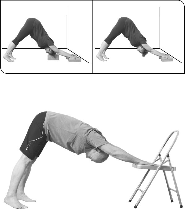 Иллюстрация к книге — Йога: здоровое долголетие, или Как оставаться молодым и бодрым [_24.jpg]