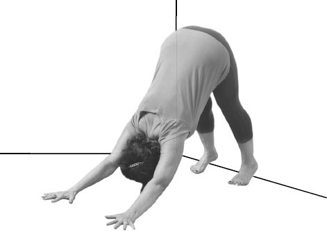 Иллюстрация к книге — Йога: здоровое долголетие, или Как оставаться молодым и бодрым [_25.jpg]