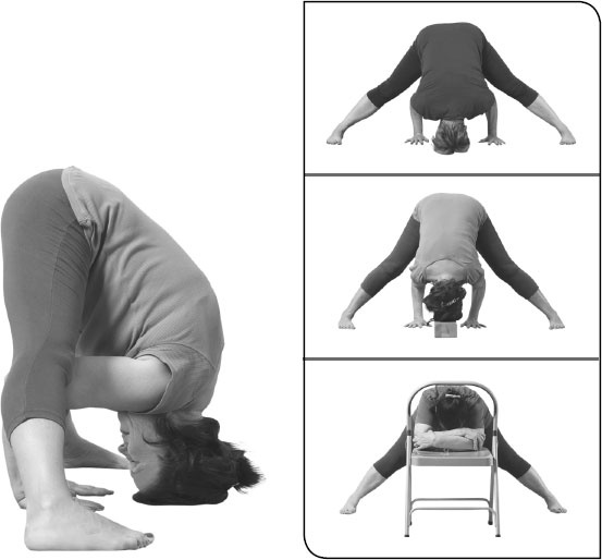 Иллюстрация к книге — Йога: здоровое долголетие, или Как оставаться молодым и бодрым [_26.jpg]