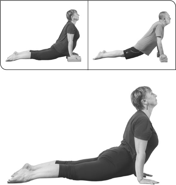 Иллюстрация к книге — Йога: здоровое долголетие, или Как оставаться молодым и бодрым [_49.jpg]