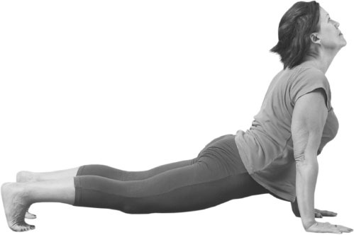 Иллюстрация к книге — Йога: здоровое долголетие, или Как оставаться молодым и бодрым [_51.jpg]