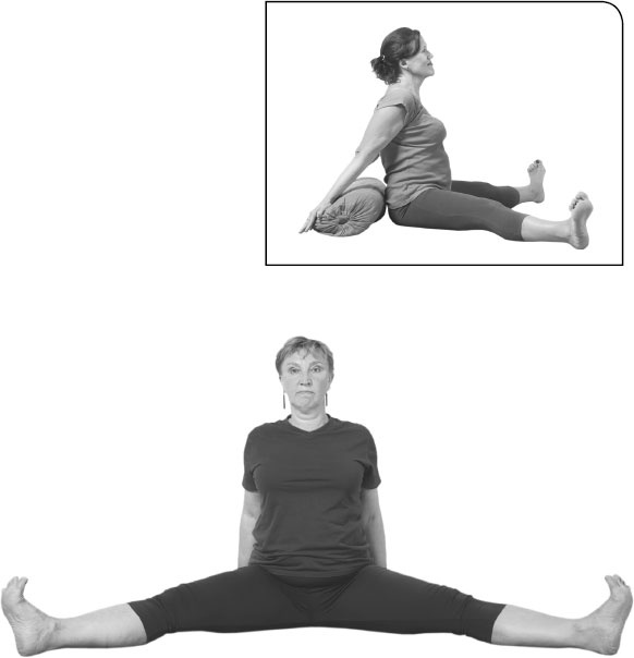 Иллюстрация к книге — Йога: здоровое долголетие, или Как оставаться молодым и бодрым [_56.jpg]