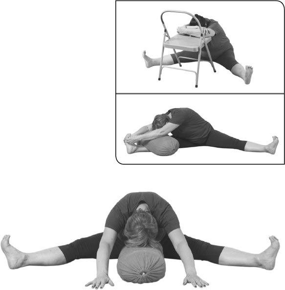 Иллюстрация к книге — Йога: здоровое долголетие, или Как оставаться молодым и бодрым [_58.jpg]