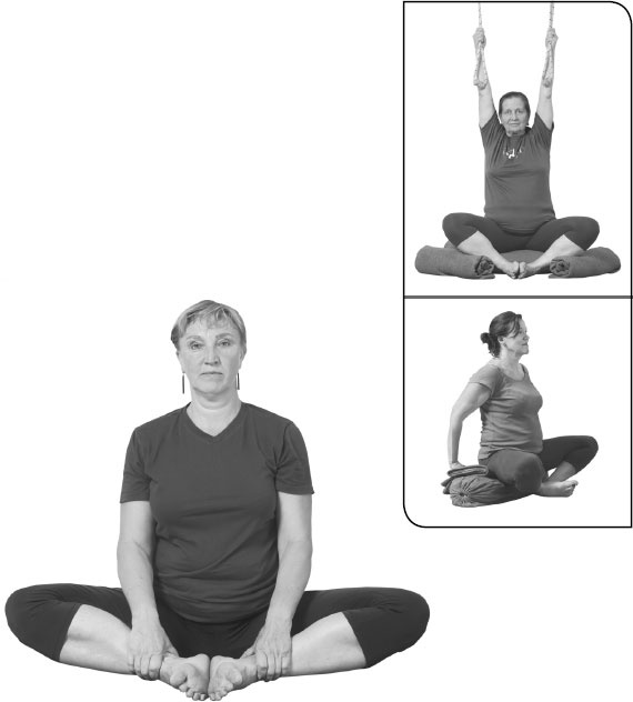 Иллюстрация к книге — Йога: здоровое долголетие, или Как оставаться молодым и бодрым [_59.jpg]