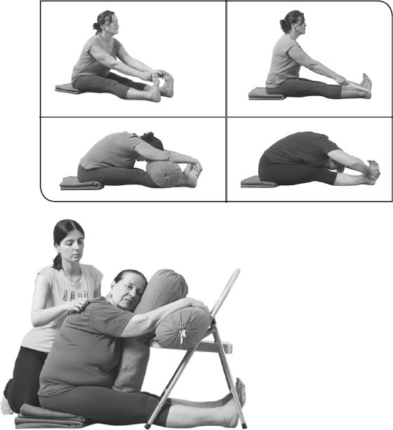 Иллюстрация к книге — Йога: здоровое долголетие, или Как оставаться молодым и бодрым [_77.jpg]