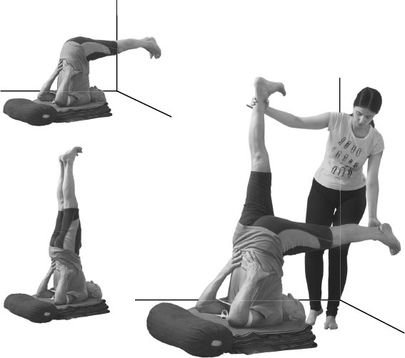 Иллюстрация к книге — Йога: здоровое долголетие, или Как оставаться молодым и бодрым [_95.jpg]