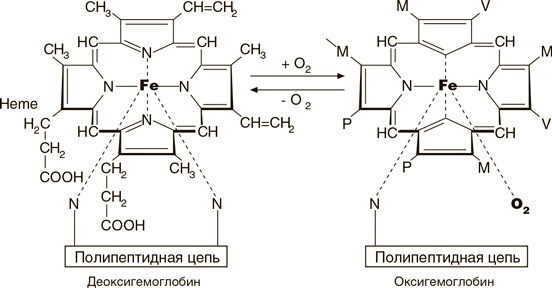 Иллюстрация к книге — На грани возможного. Наука выживания [i_013.jpg]