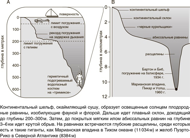 Иллюстрация к книге — На грани возможного. Наука выживания [i_022.jpg]