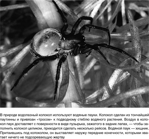 Иллюстрация к книге — На грани возможного. Наука выживания [i_023.jpg]