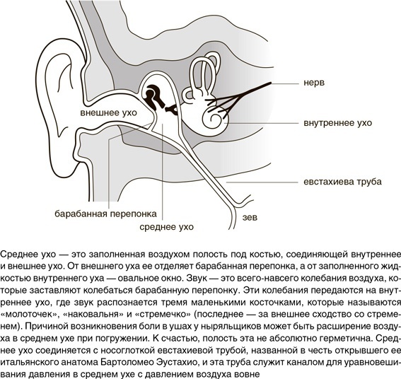 Иллюстрация к книге — На грани возможного. Наука выживания [i_028.jpg]