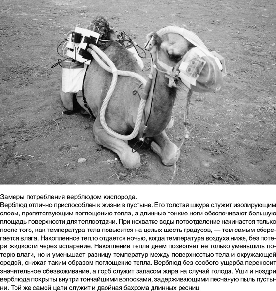 Иллюстрация к книге — На грани возможного. Наука выживания [i_045.jpg]