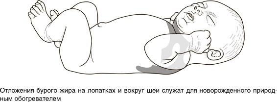 Иллюстрация к книге — На грани возможного. Наука выживания [i_050.jpg]