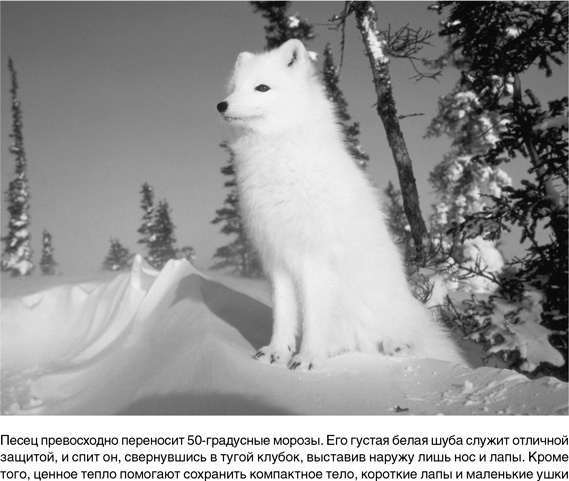 Иллюстрация к книге — На грани возможного. Наука выживания [i_055.jpg]