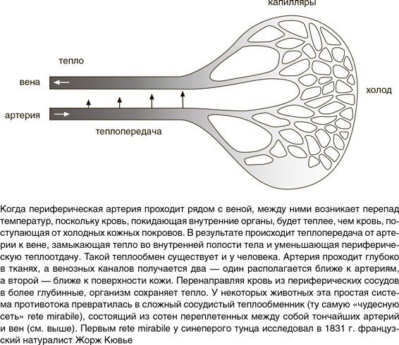 Иллюстрация к книге — На грани возможного. Наука выживания [i_056.jpg]