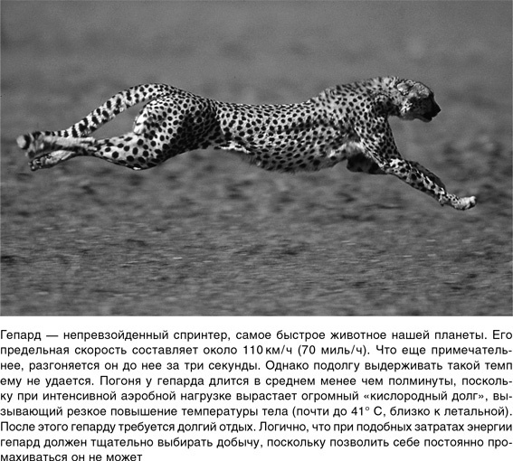 Иллюстрация к книге — На грани возможного. Наука выживания [i_067.jpg]