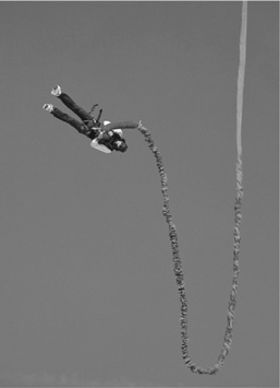 Иллюстрация к книге — На грани возможного. Наука выживания [i_072.jpg]