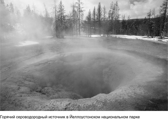 Иллюстрация к книге — На грани возможного. Наука выживания [i_085.jpg]