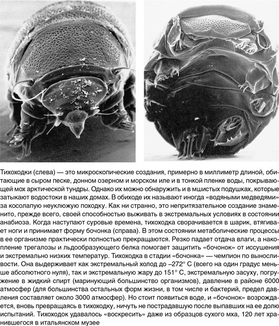 Иллюстрация к книге — На грани возможного. Наука выживания [i_089.jpg]