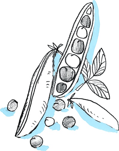 Иллюстрация к книге — Рассказы про Франца и футбол [i_009.jpg]