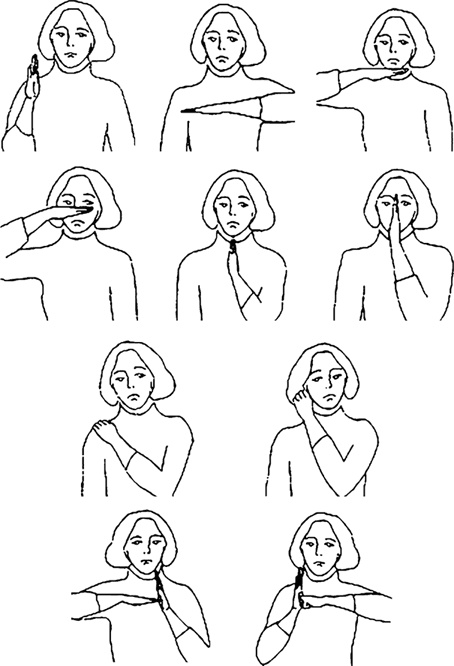 Иллюстрация к книге — Буквограмма. В школу с радостью. Коррекция и развитие письменной и устной речи. От 5 до 14 лет [i_009.jpg]