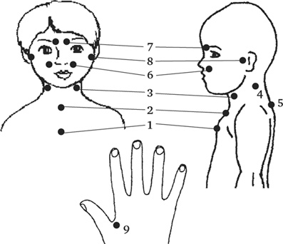 Иллюстрация к книге — Буквограмма. От 0 до 3. Развиваем мышление, речь, память, внимание. Уникальная комплексная программа развития малышей [i_006.jpg]