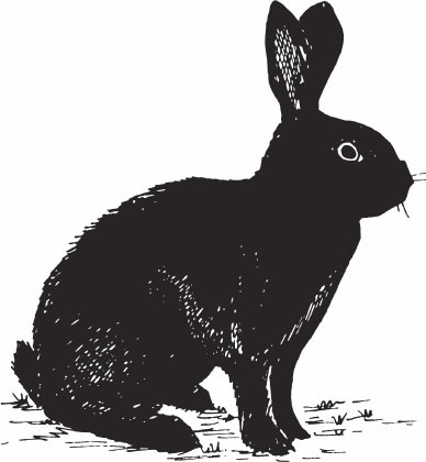 Иллюстрация к книге — Кролиководство для начинающих [_16.jpg]