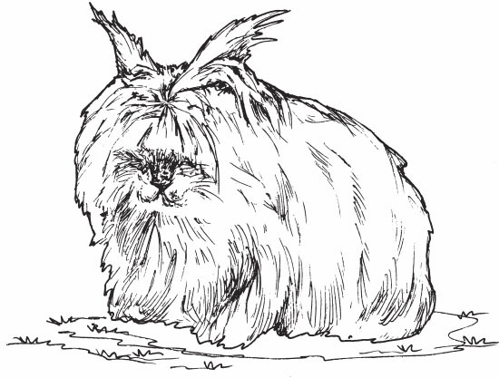 Иллюстрация к книге — Кролиководство для начинающих [_20.jpg]