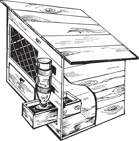 Иллюстрация к книге — Кролиководство для начинающих [_45.jpg]