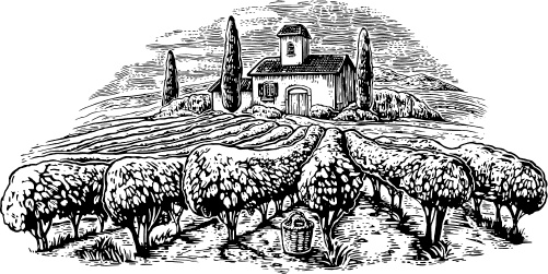 Иллюстрация к книге — Большая энциклопедия виноградаря [_1.jpg]