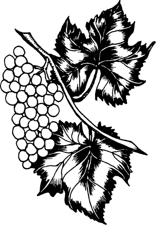 Иллюстрация к книге — Большая энциклопедия виноградаря [_116.jpg]