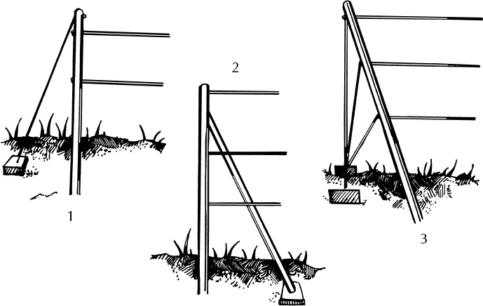 Иллюстрация к книге — Большая энциклопедия виноградаря [_129.jpg]