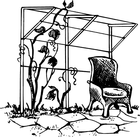 Иллюстрация к книге — Большая энциклопедия виноградаря [_133.jpg]