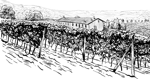 Иллюстрация к книге — Большая энциклопедия виноградаря [_36.jpg]