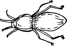 Иллюстрация к книге — Большая энциклопедия виноградаря [_42.jpg]