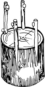 Иллюстрация к книге — Большая энциклопедия виноградаря [_63.jpg]