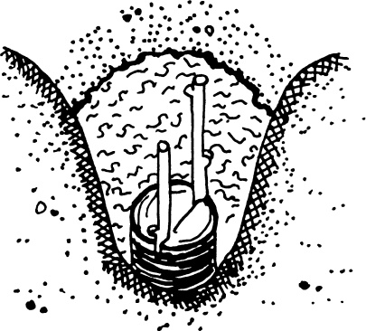 Иллюстрация к книге — Большая энциклопедия виноградаря [_64.jpg]