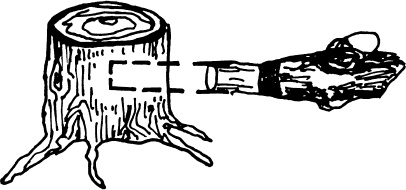 Иллюстрация к книге — Большая энциклопедия виноградаря [_88.jpg]