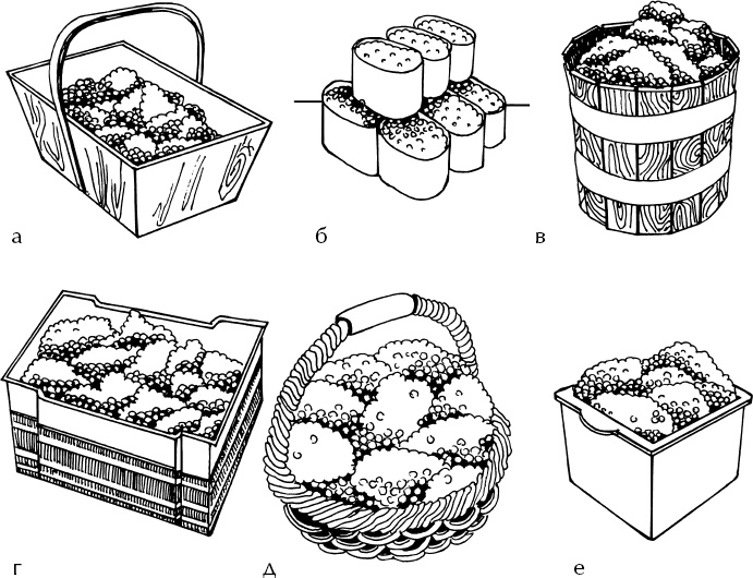 Иллюстрация к книге — Большая энциклопедия виноградаря [_98.jpg]