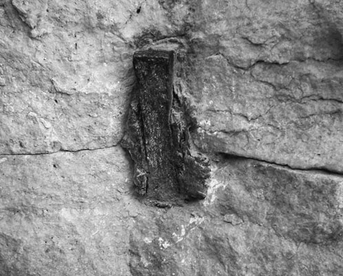 Иллюстрация к книге — Сирийские перекрестки цивилизации [_124.jpg]