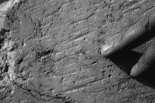 Иллюстрация к книге — Сирийские перекрестки цивилизации [_128.jpg]