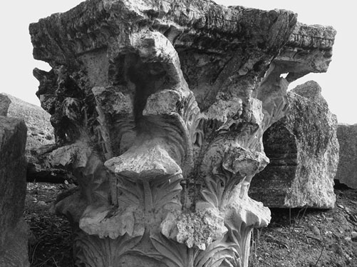 Иллюстрация к книге — Сирийские перекрестки цивилизации [_36.jpg]