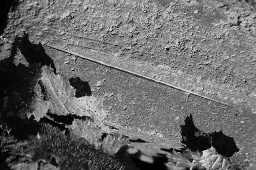 Иллюстрация к книге — Сирийские перекрестки цивилизации [_55.jpg]