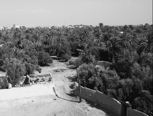 Иллюстрация к книге — Сирийские перекрестки цивилизации [_81.jpg]