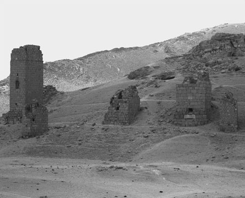 Иллюстрация к книге — Сирийские перекрестки цивилизации [_99.jpg]