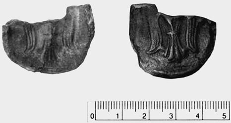 Иллюстрация к книге — Рюрик и мистика истинной власти [_30.jpg]