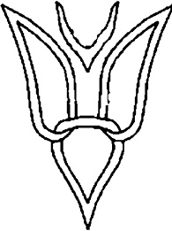 Иллюстрация к книге — Рюрик и мистика истинной власти [_42.jpg]