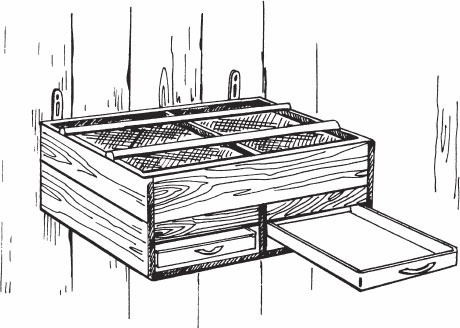 Иллюстрация к книге — Птицеводство для начинающих. Полный справочник [_08.jpg]