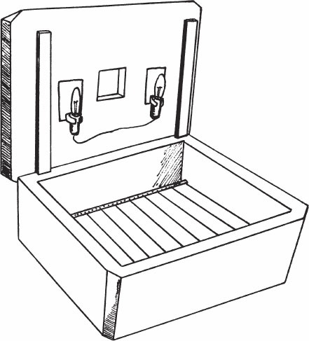 Иллюстрация к книге — Птицеводство для начинающих. Полный справочник [_16.jpg]