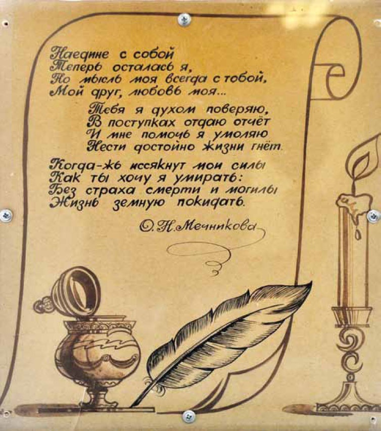 Иллюстрация к книге — Великие умы России. Том 7. Илья Мечников [i_035.jpg]