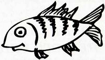 Иллюстрация к книге — Рояль в сугробе [i_044.jpg]